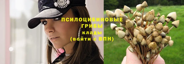 винт Карпинск