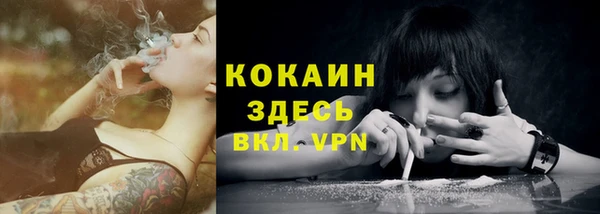 винт Карпинск