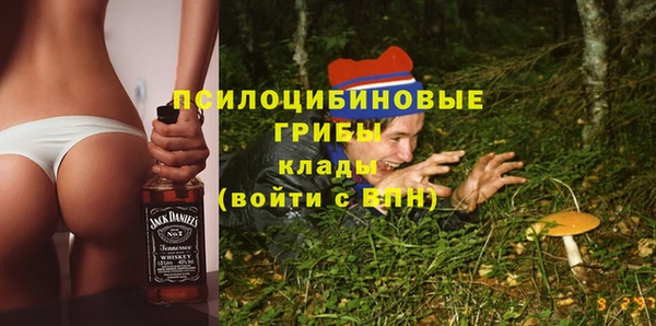 дурь Касимов