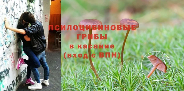 винт Карпинск