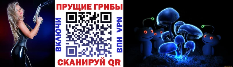 Купить  Болохово  Галлюциногенные грибы Magic Shrooms 